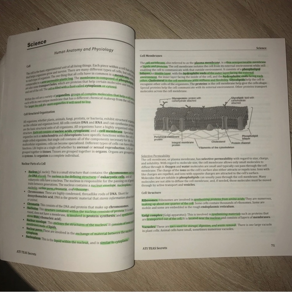 ATI TEAS Study Guide - Picture 2 of 4